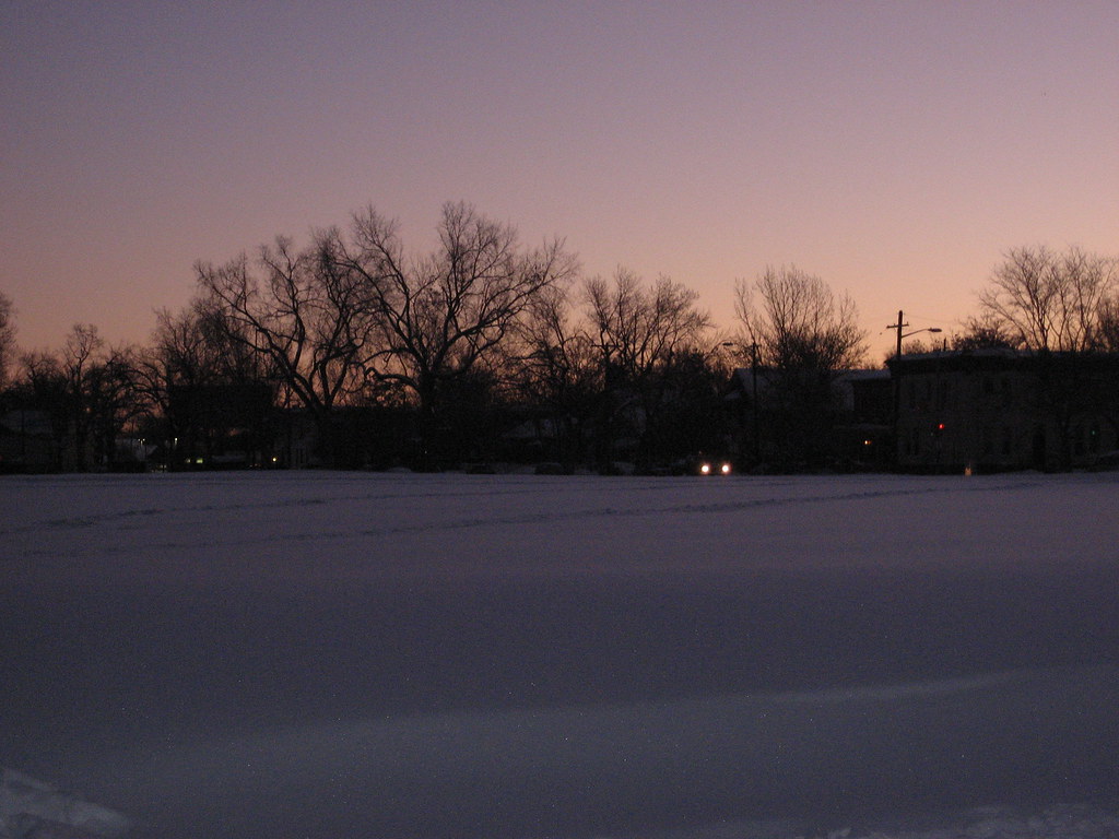 Curtis Park, Denver — the Fuller Dog Park is in this neighborhood photo