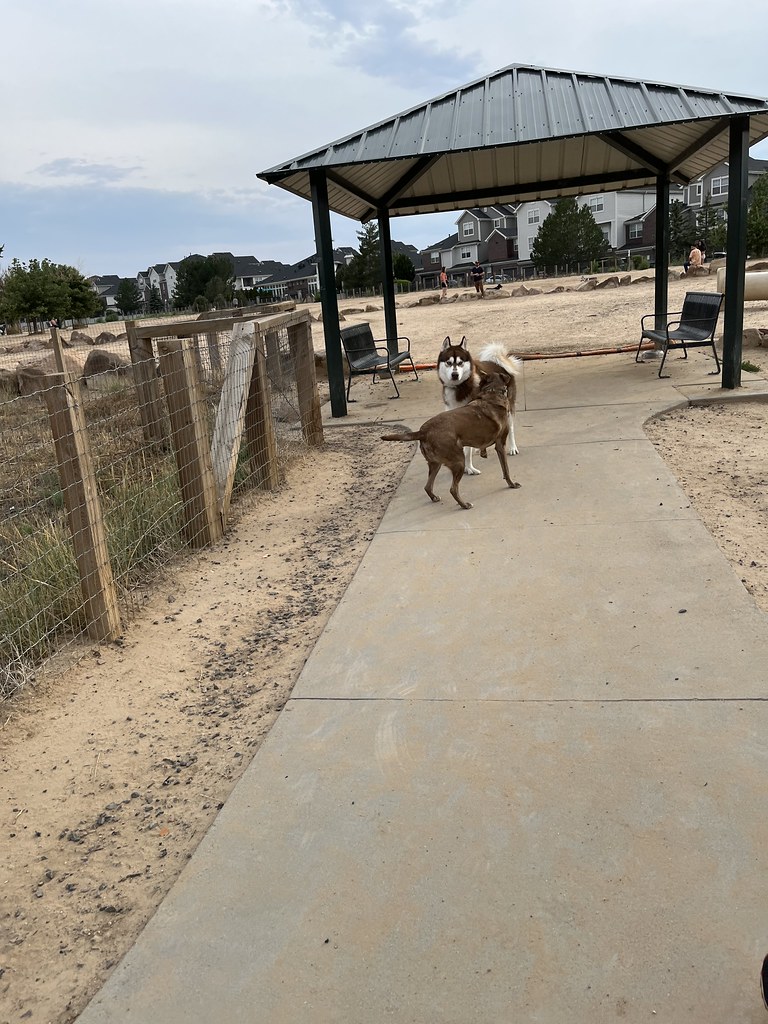 The Kennedy Dog Park at Hampden & Dayton photo