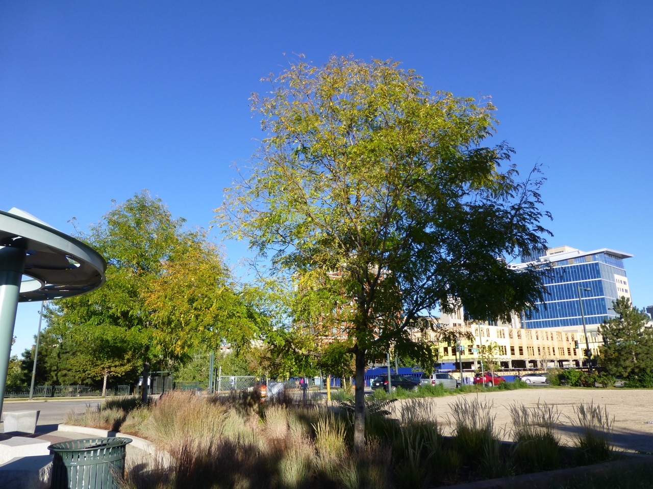 LoDo (Lower Downtown) from Commons Park — Little Boxcar is in the LoDo district photo